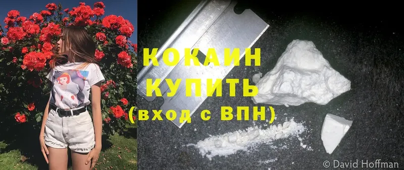 где купить   Прохладный  COCAIN Боливия 